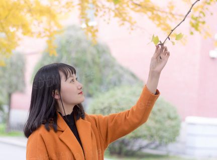 城市静默者