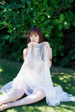 黄飞鸿之三：狮王争霸（国语版）